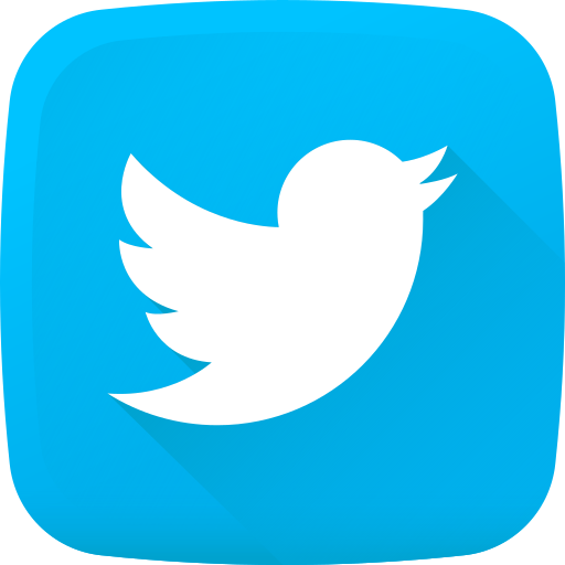Twitter (X)