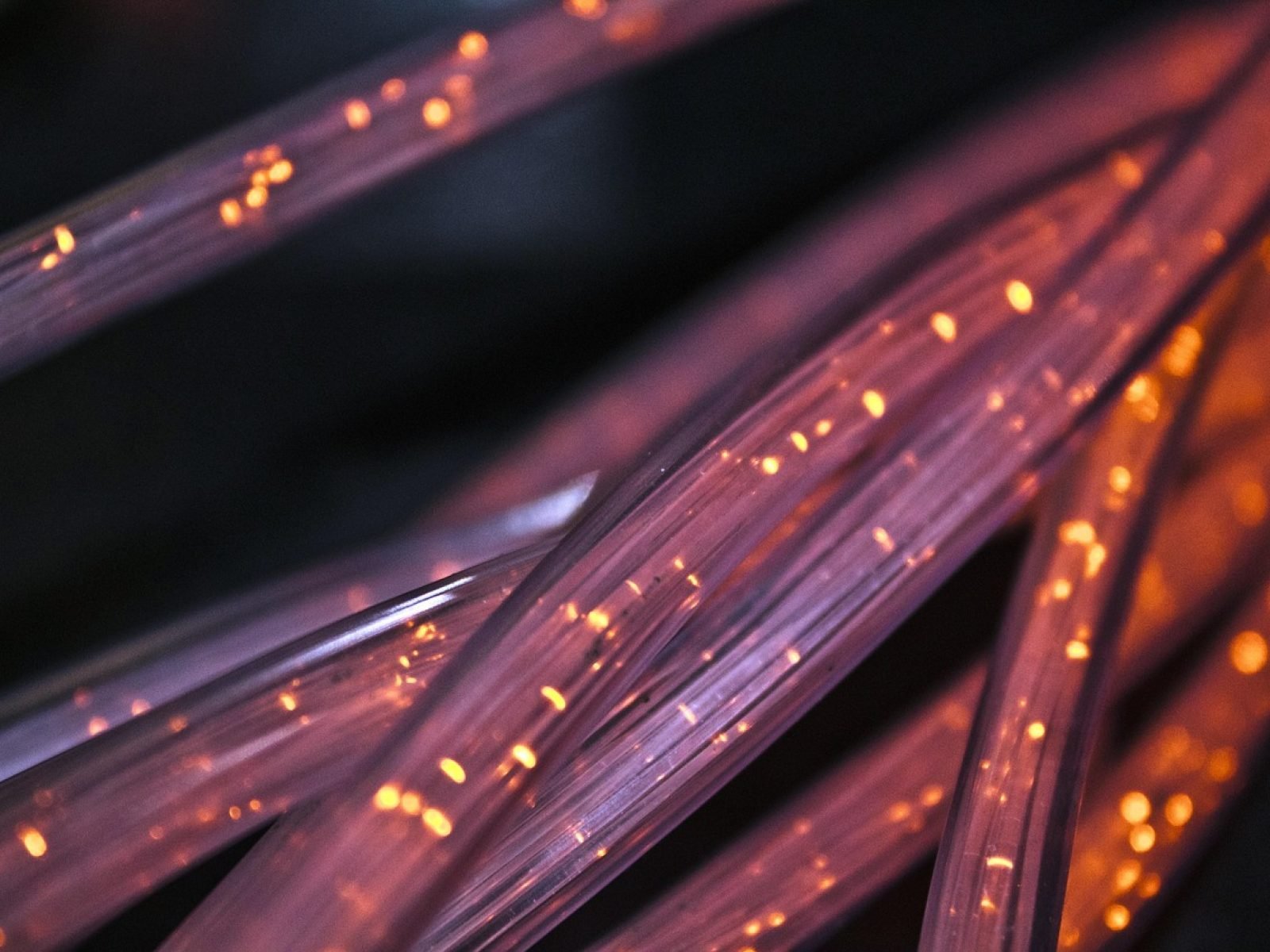 fiber, cable, wire, connection, network, cord, twine, internet, technology, tech, ethernet, string, strong, thread, communication, broadband, networking, twisted, network, network, internet, internet, technology, technology, tech, tech, tech, tech, tech, broadband