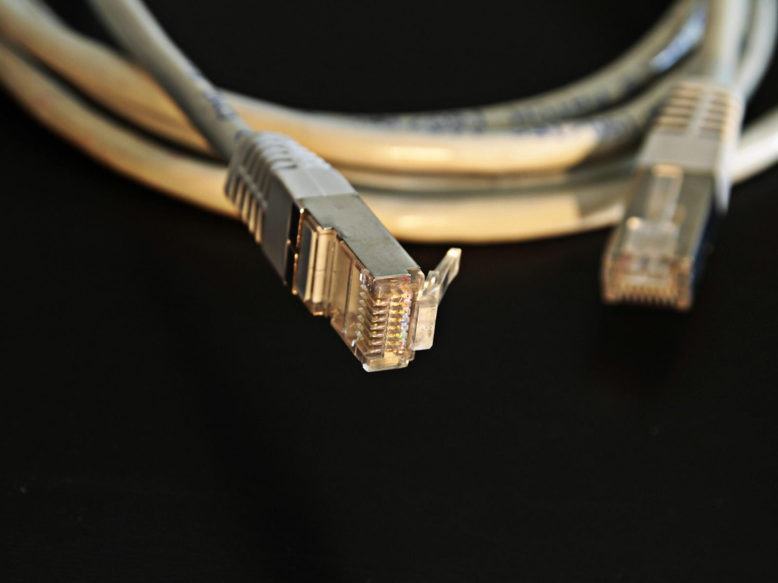 Detailed close-up of a network Ethernet cable showing connectors on a black background.